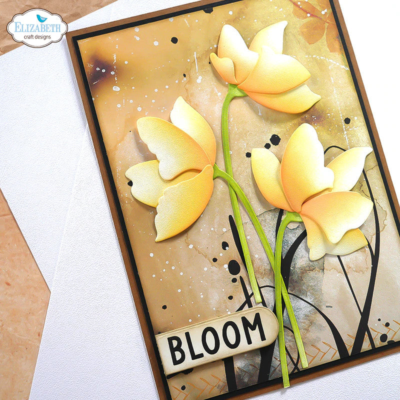 Elizabeth Craft Designs Cartulina de acabado suave (25 hojas)