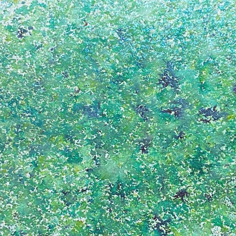 Creatieve uitingen Kosmische glans Pixie schittert Green Bay