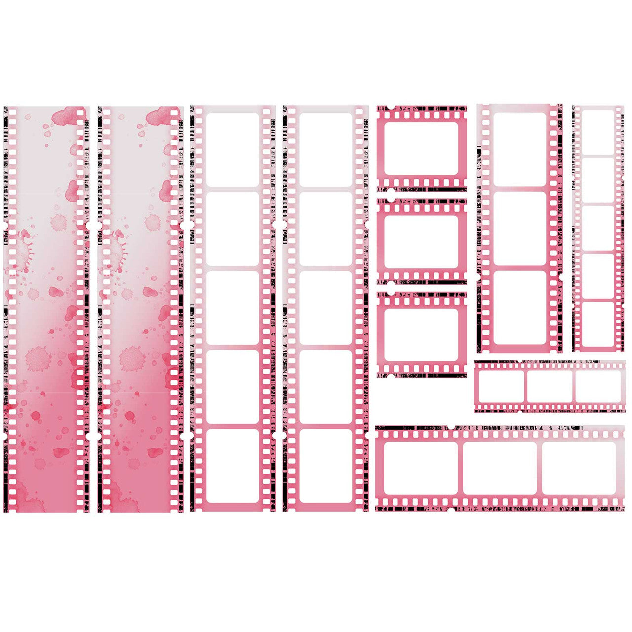 49 y Market Color Swatch Blossom Filmstrips