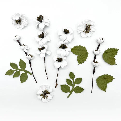 49 and Market Wildflowers - Salt