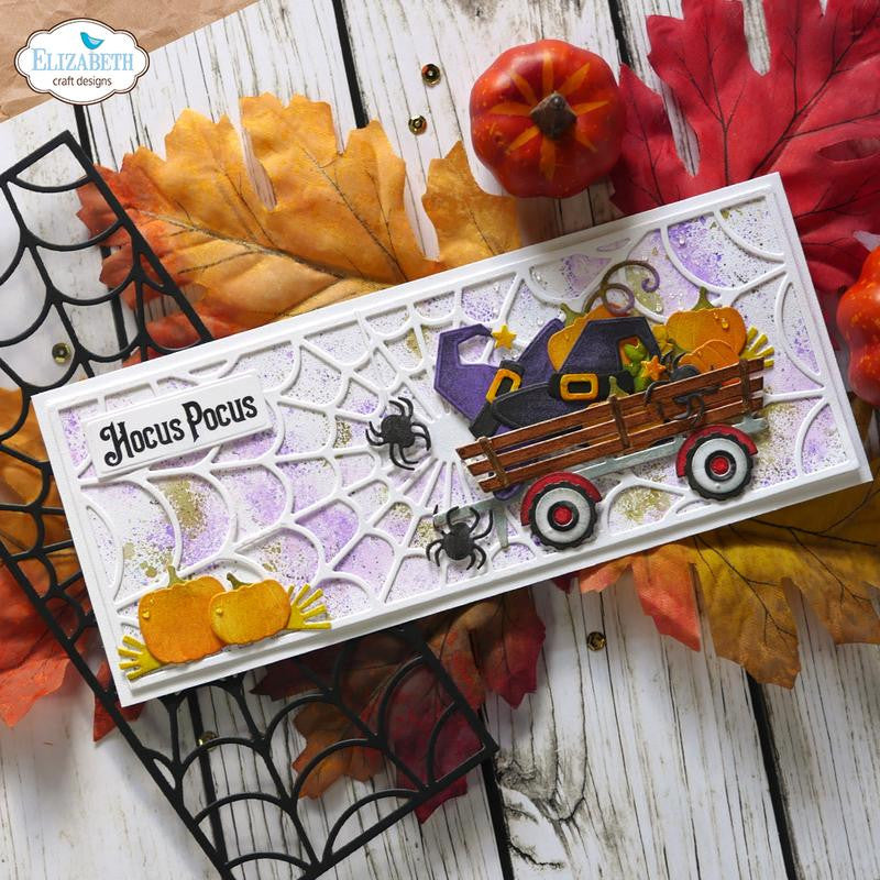 Elizabeth Craft Spider Web Slimline Achtergrondstans
