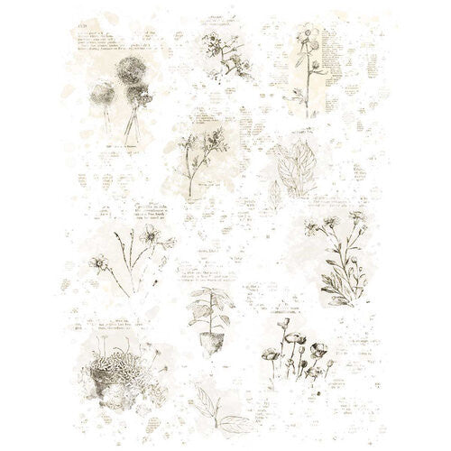 49 and Market - Vintage Bits Collection - 6 x 8 Rub-On Transfers - Essential Blendables 1
