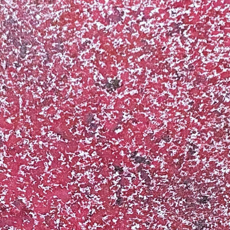 Creatieve uitingen Kosmische glans Pixie schittert rood oxide