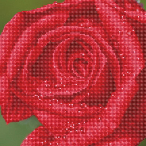 Rocío de rosa de Diamond Dotz