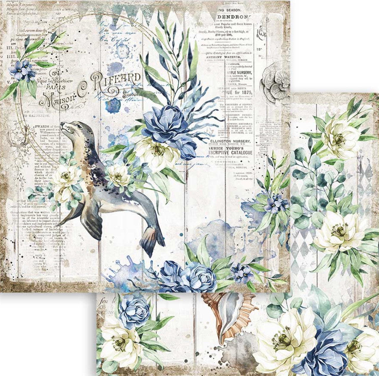 Stamperia Colección de papel Romantic Sea Dream de 12" x 12"