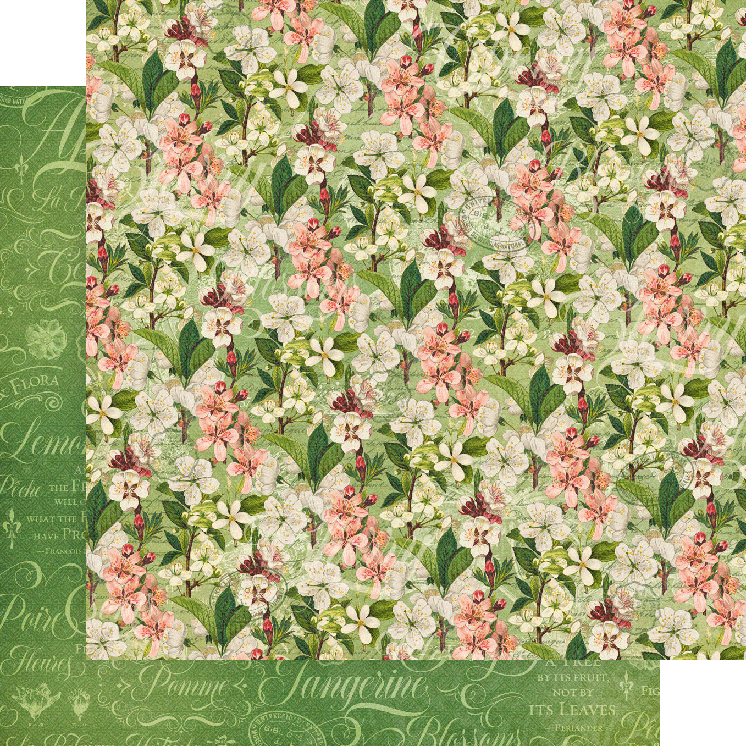 Graphic 45 Fruit and Flora 8 x 8 Paper Pad