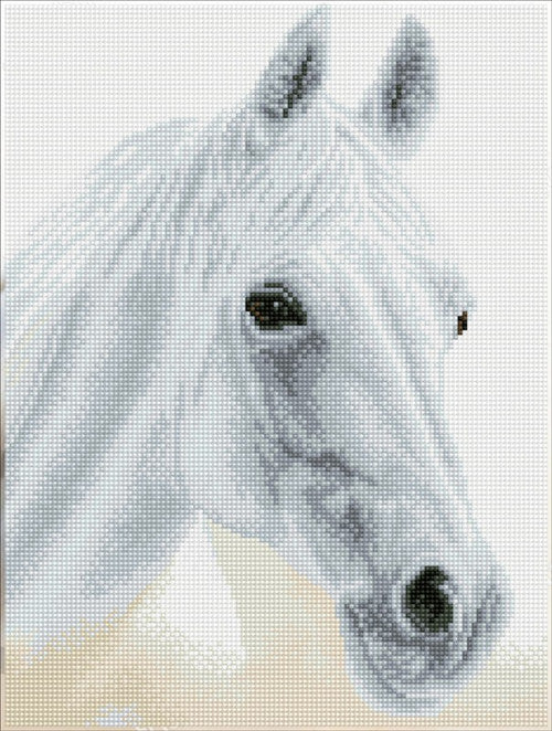 Diamond Dotz SQUARES Arabian Beauty