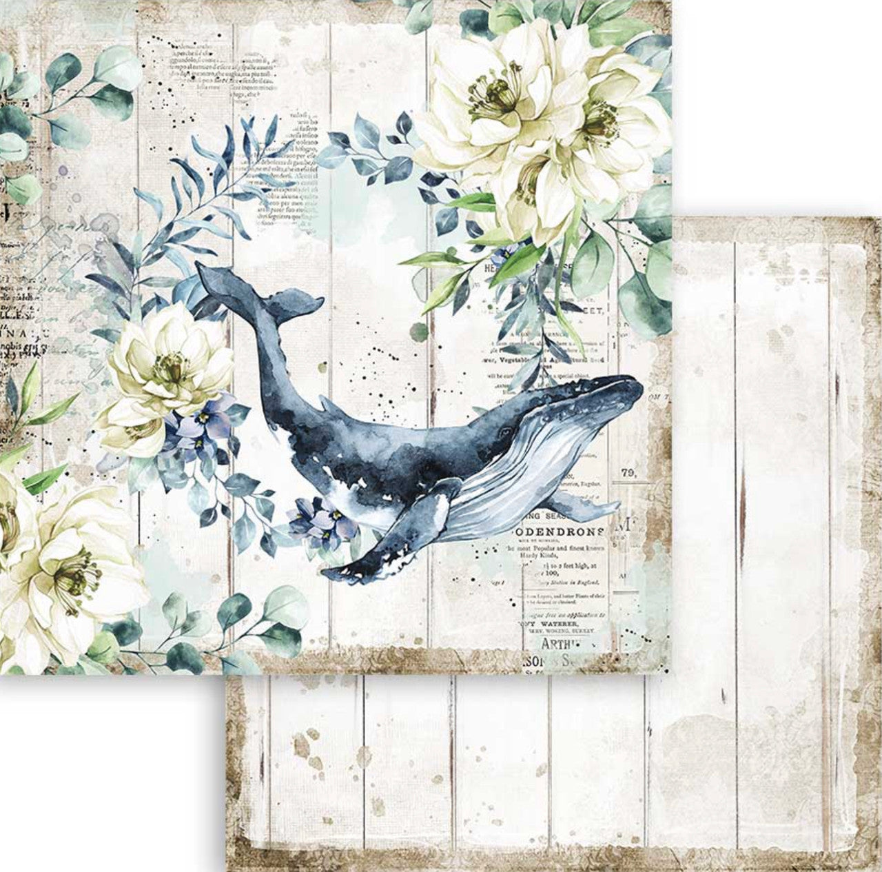 Stamperia Colección de papel Romantic Sea Dream de 12" x 12"