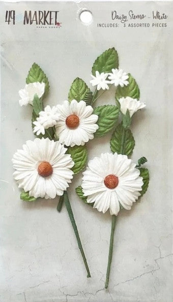 49 y Market Daisy Tallos Flores Blancas