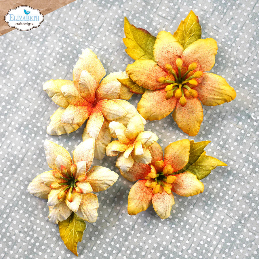 Elizabeth Craft Designs Juego de 20 troqueles florales