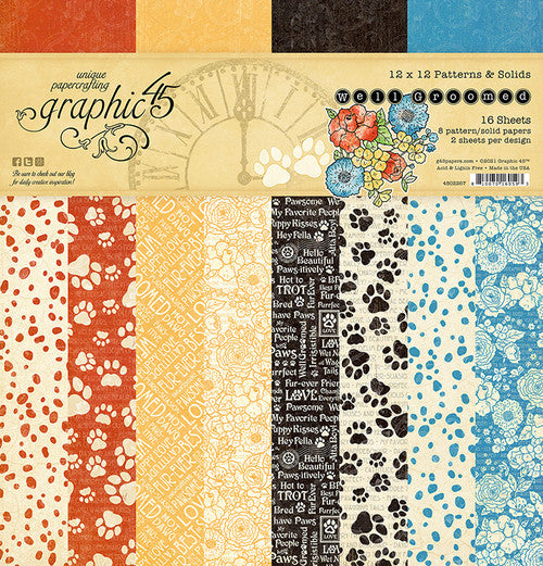Graphic 45 Well Groomed 12” x 12” Solids & Patterns Pad