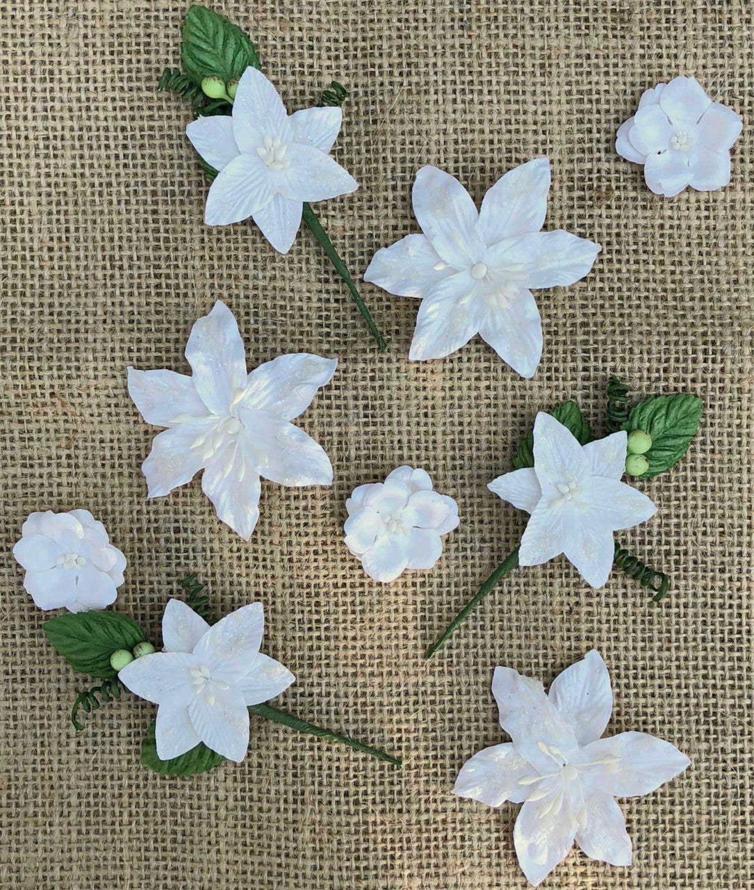 49 y Market Stargazers Simply White