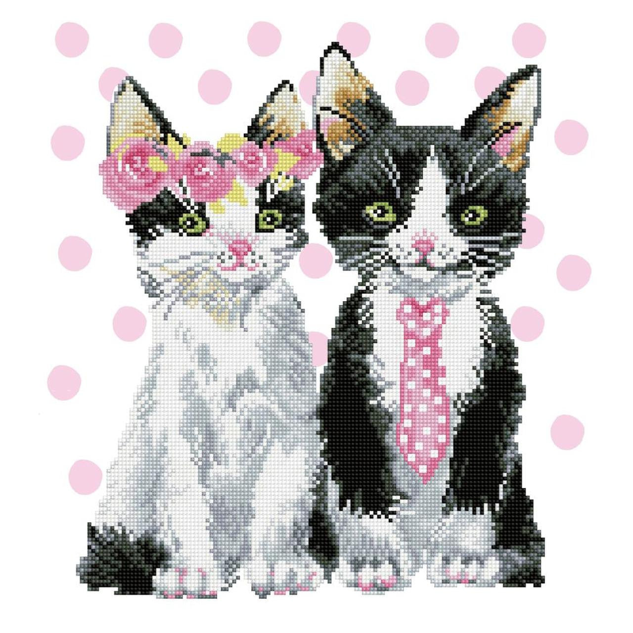 Diamond Dotz Señor y Señora Rosa