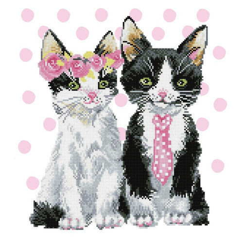 Diamond Dotz Señor y Señora Rosa