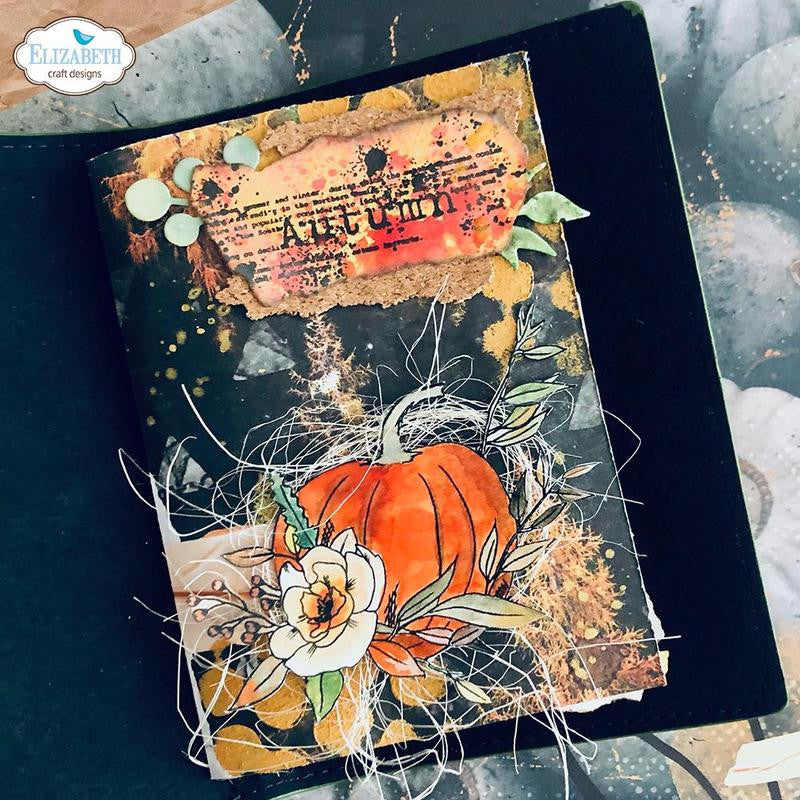 Elizabeth Craft Designs Juego de sellos de temporada de especias de calabaza
