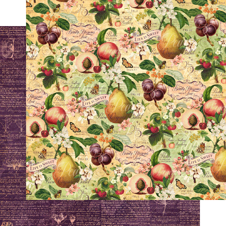 Graphic 45 Fruit and Flora 8 x 8 Paper Pad