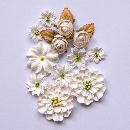 49 y Market Country florece flores de nubes
