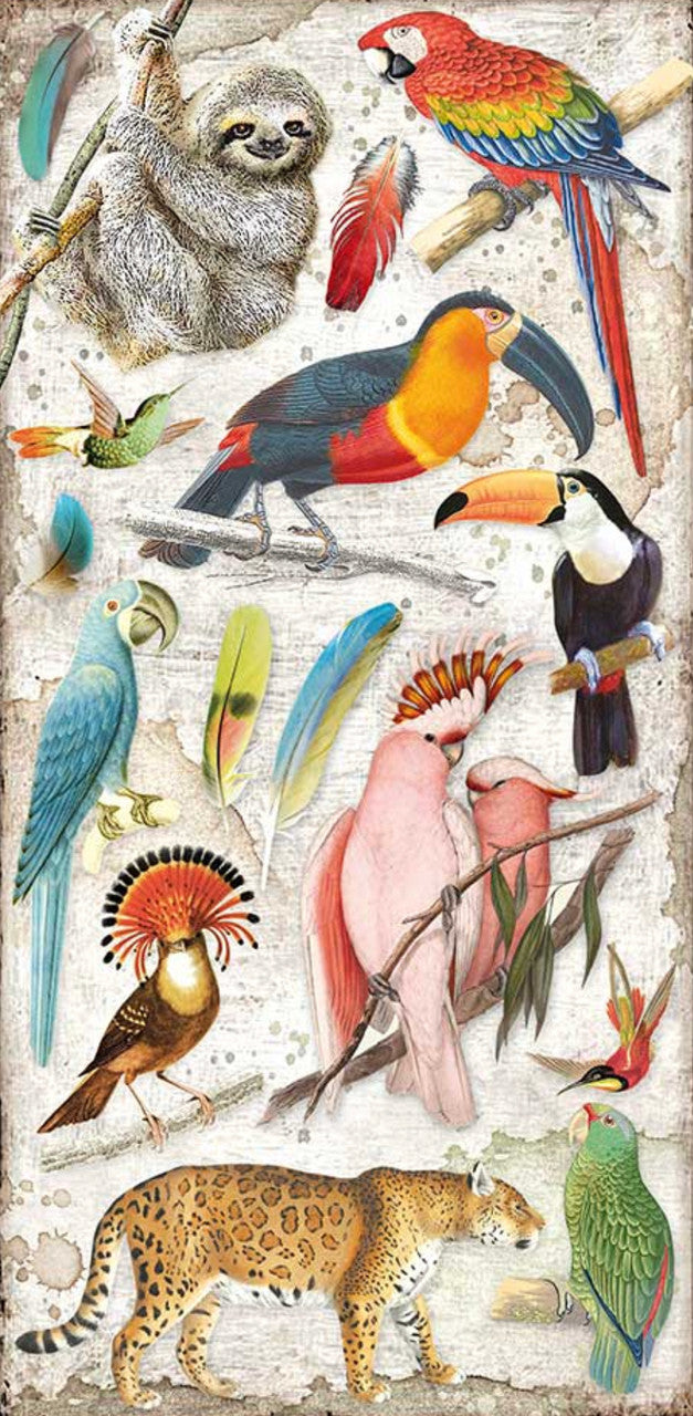 Stamperia Collectables 6” x 12” Amazonia