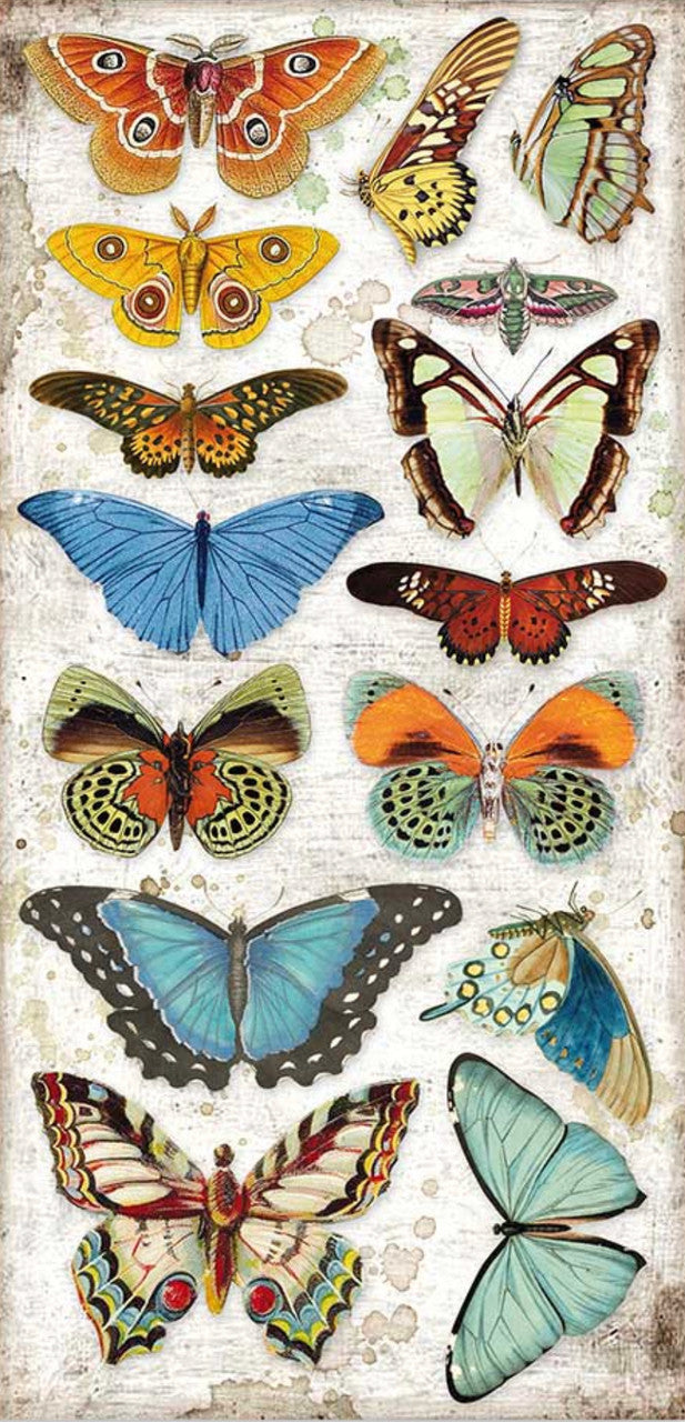 Stamperia Coleccionables 6” x 12” Amazonia