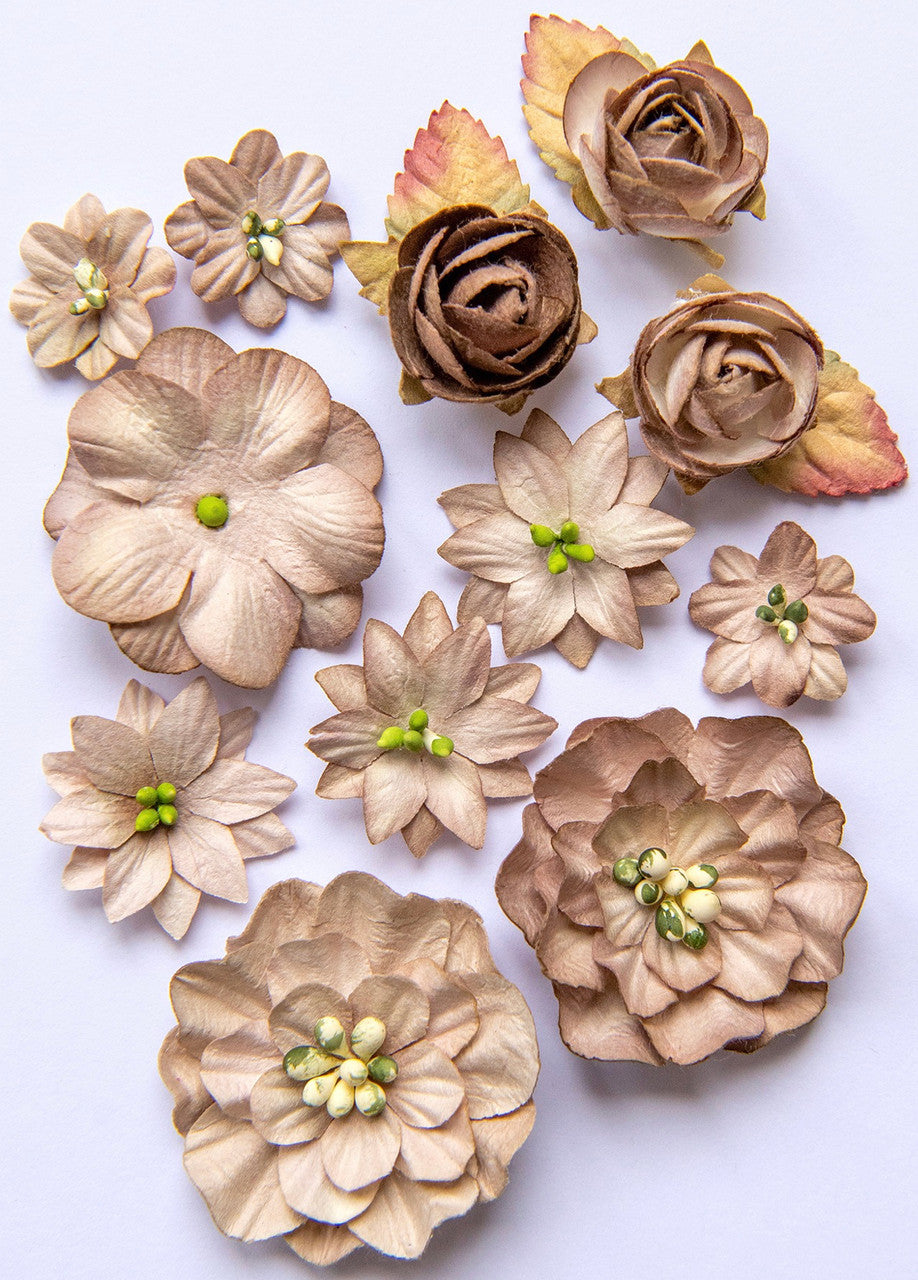 49 y Market Country florece flores de hongos