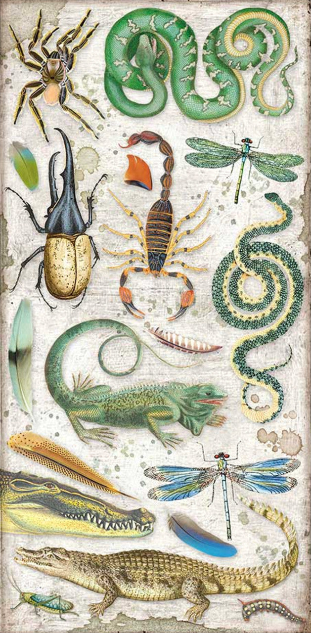 Stamperia Coleccionables 6” x 12” Amazonia