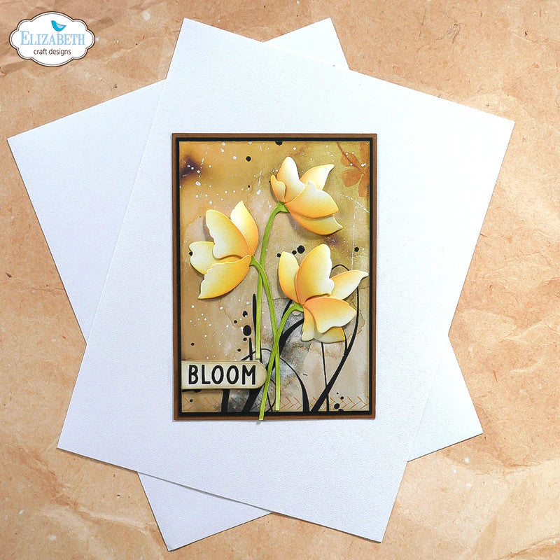 Elizabeth Craft Designs Cartulina de acabado suave (25 hojas)