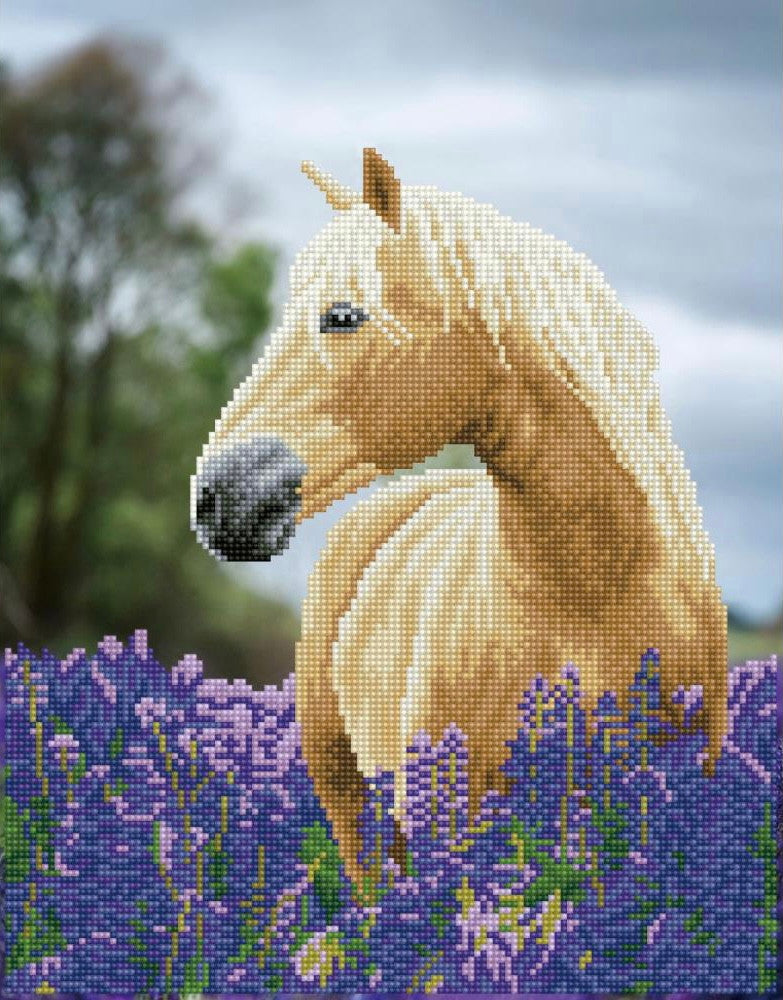 Diamond Dotz Horse in a Field – Kreative Kreations