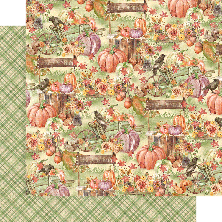 Grafisch 45 Hello Pumpkin 8x8 collectiepakket