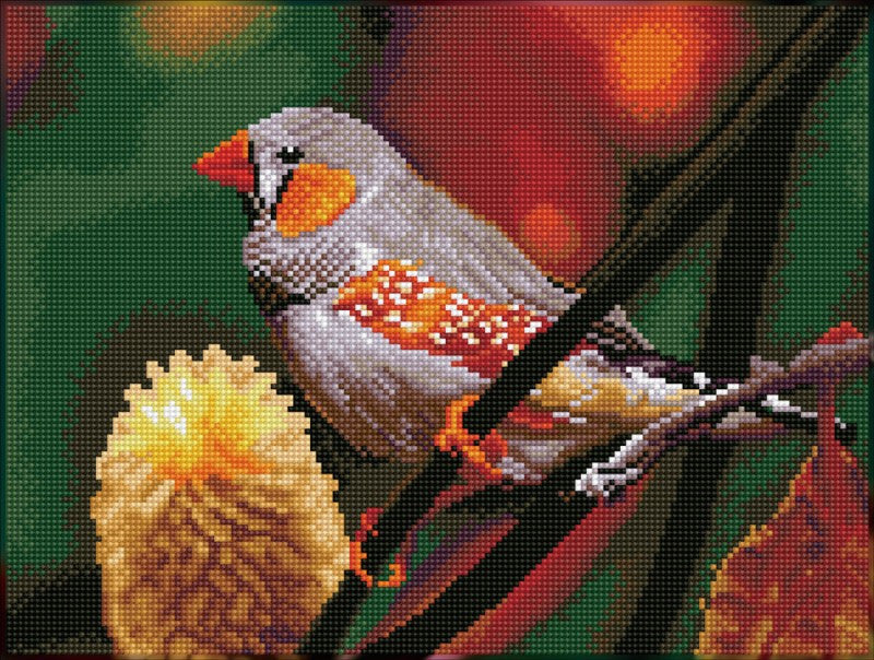 Diamond Dotz SQUARES Gouldian Finch