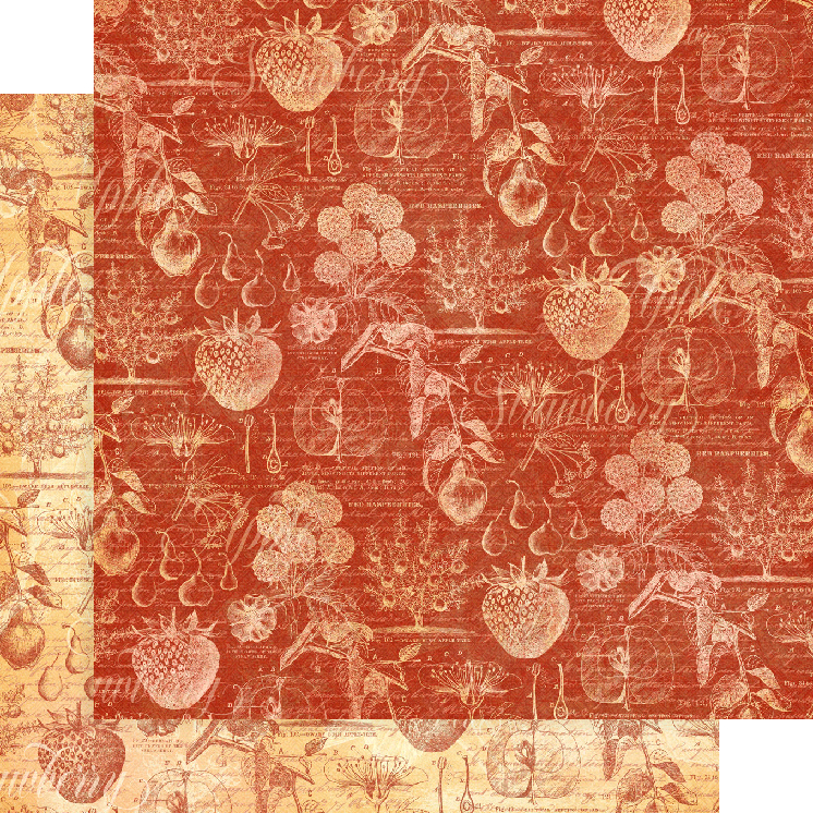 Graphic 45 Fruit and Flora 8 x 8 Paper Pad