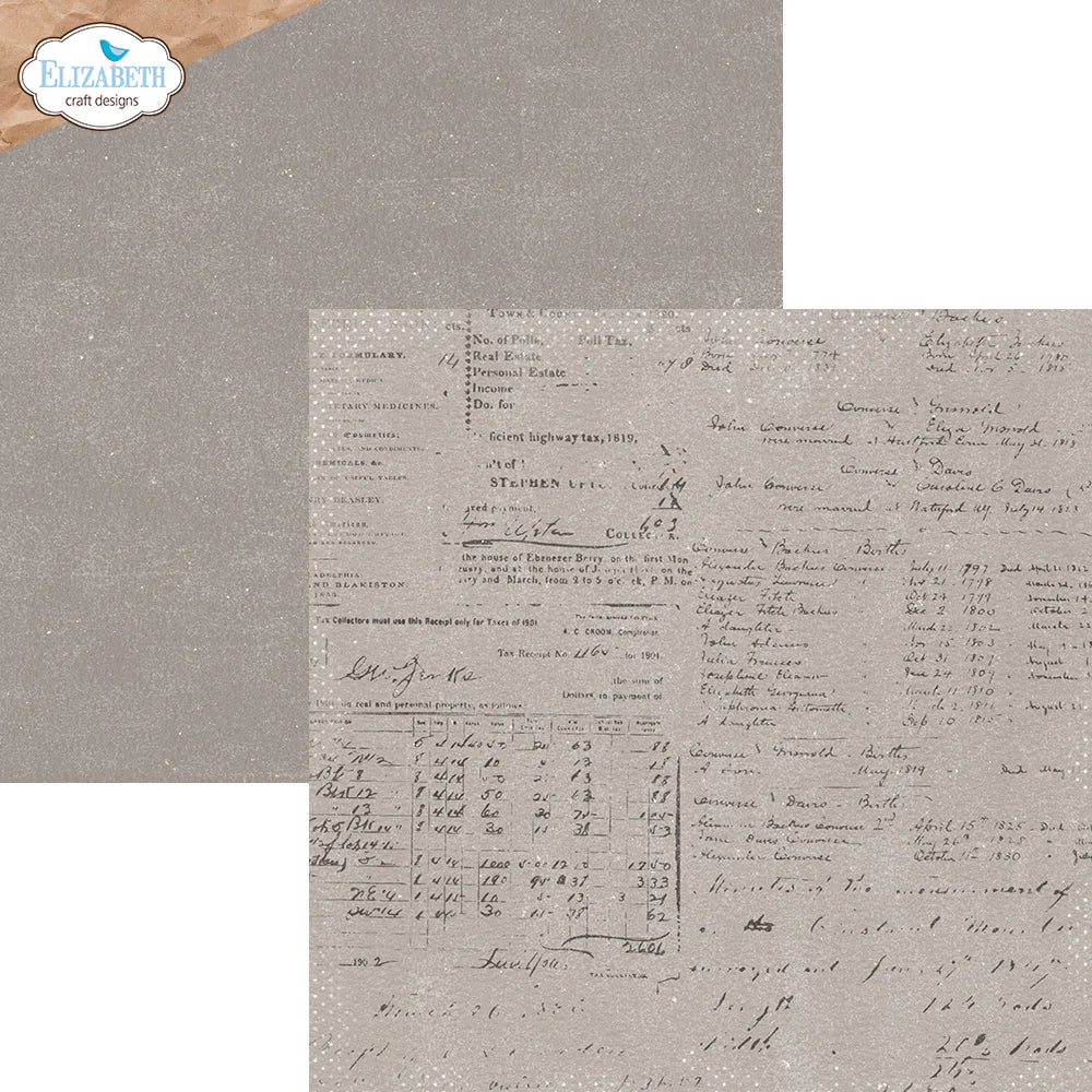 Elizabeth Craft Designs Once in a Lifetime 12x12 Paper Pack