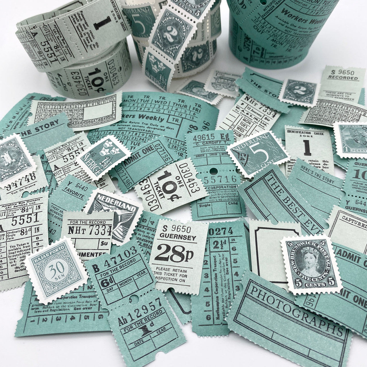 49 and Market Color Swatch Eucalyptus Ticket Essentials
