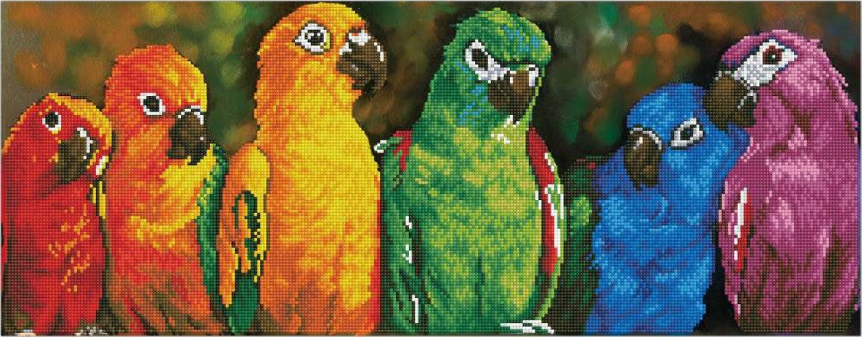 Diamond Dotz Rainbow Parrots