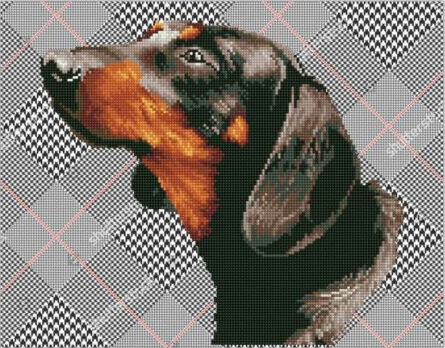 Diamond Dotz Noble Dachsie