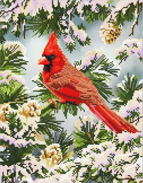 Diamond Dotz Good Fortune Cardinal
