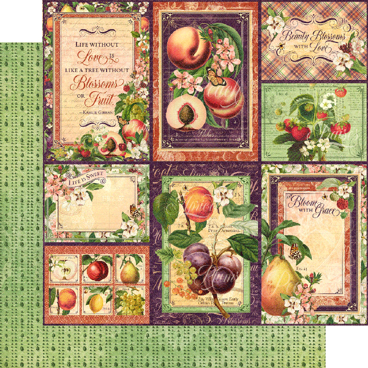 Graphic 45 Fruit and Flora 8 x 8 Paper Pad