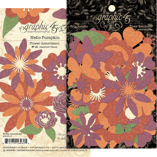 Gráfico 45 Hola Surtido de flores de calabaza