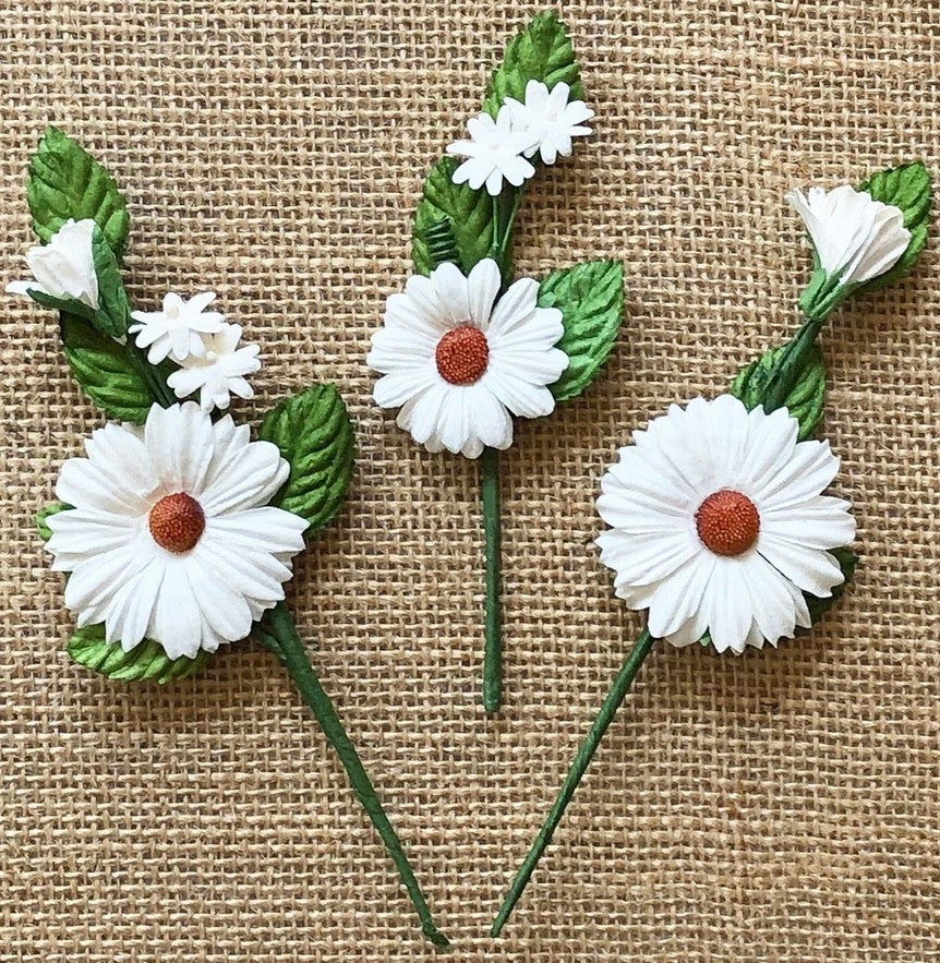 49 y Market Daisy Tallos Flores Blancas