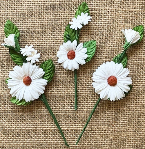 49 y Market Daisy Tallos Flores Blancas