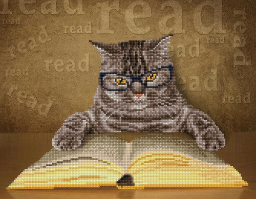 Diamond Dotz SIMPLY I Can Read