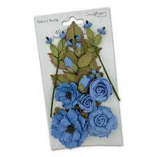 49 and Market Natures Bounty - Cornflower