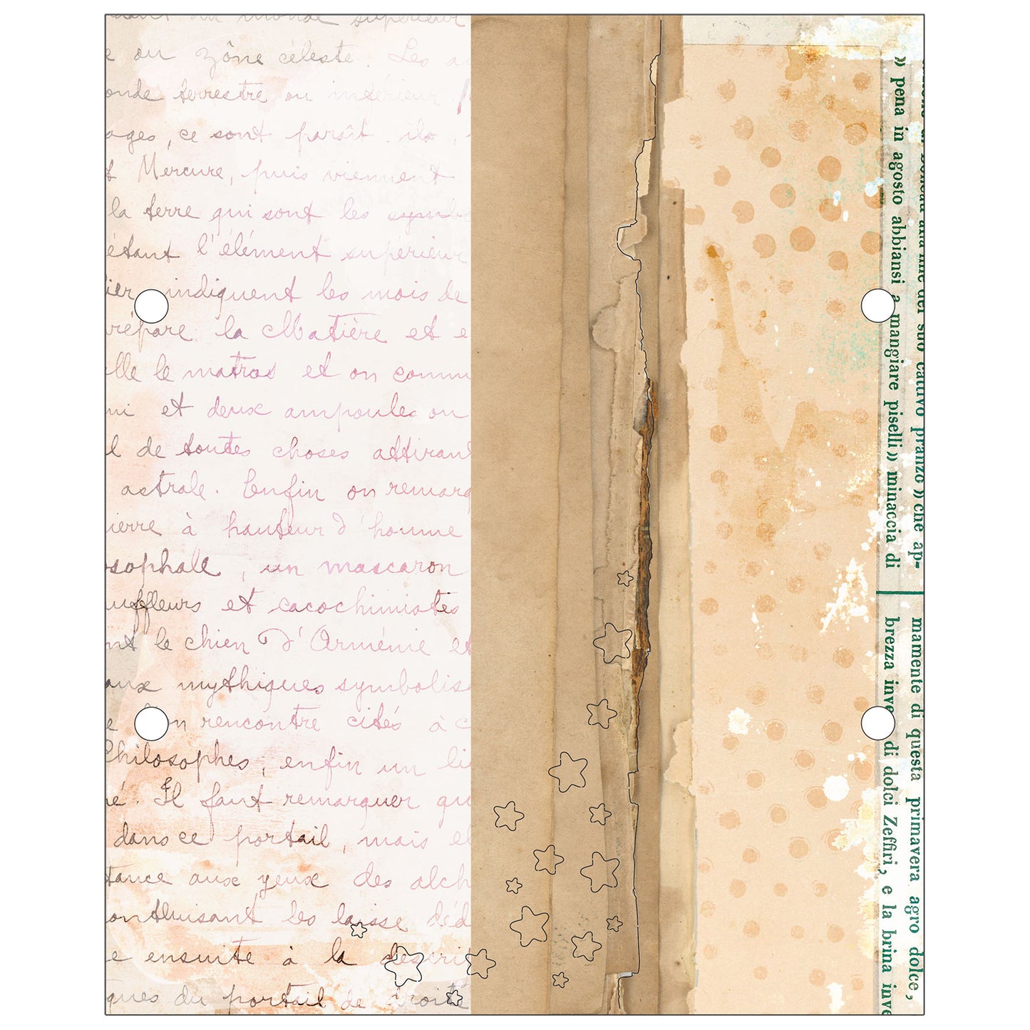 49 & Market Foundations Essential Binder - The Flower Emporium by Vicki Boutin (w/pages)