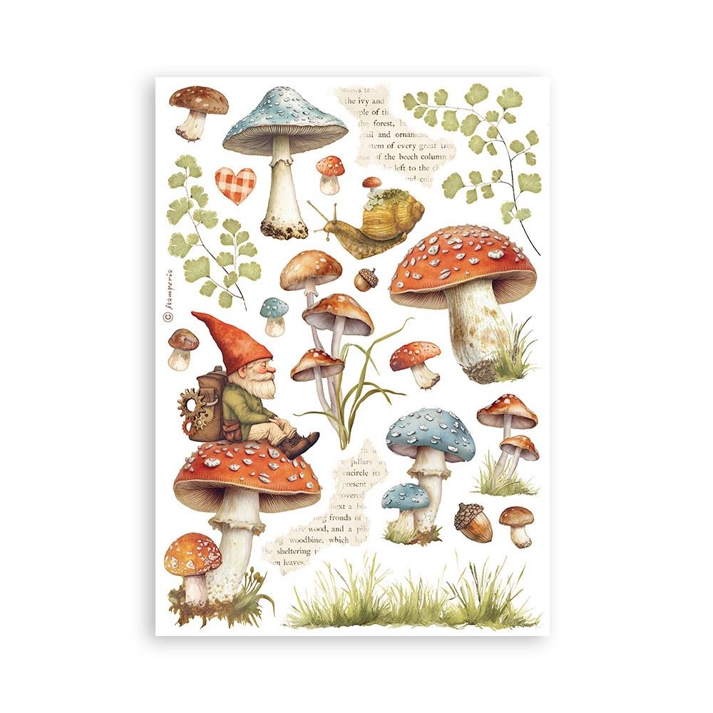 Stamperia Hidden Grove Washi Pad (8 Sheets)