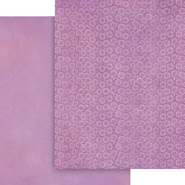 Graphic 45 Fairy Boutique 8.5” x 11” Patterns & Solids Pack