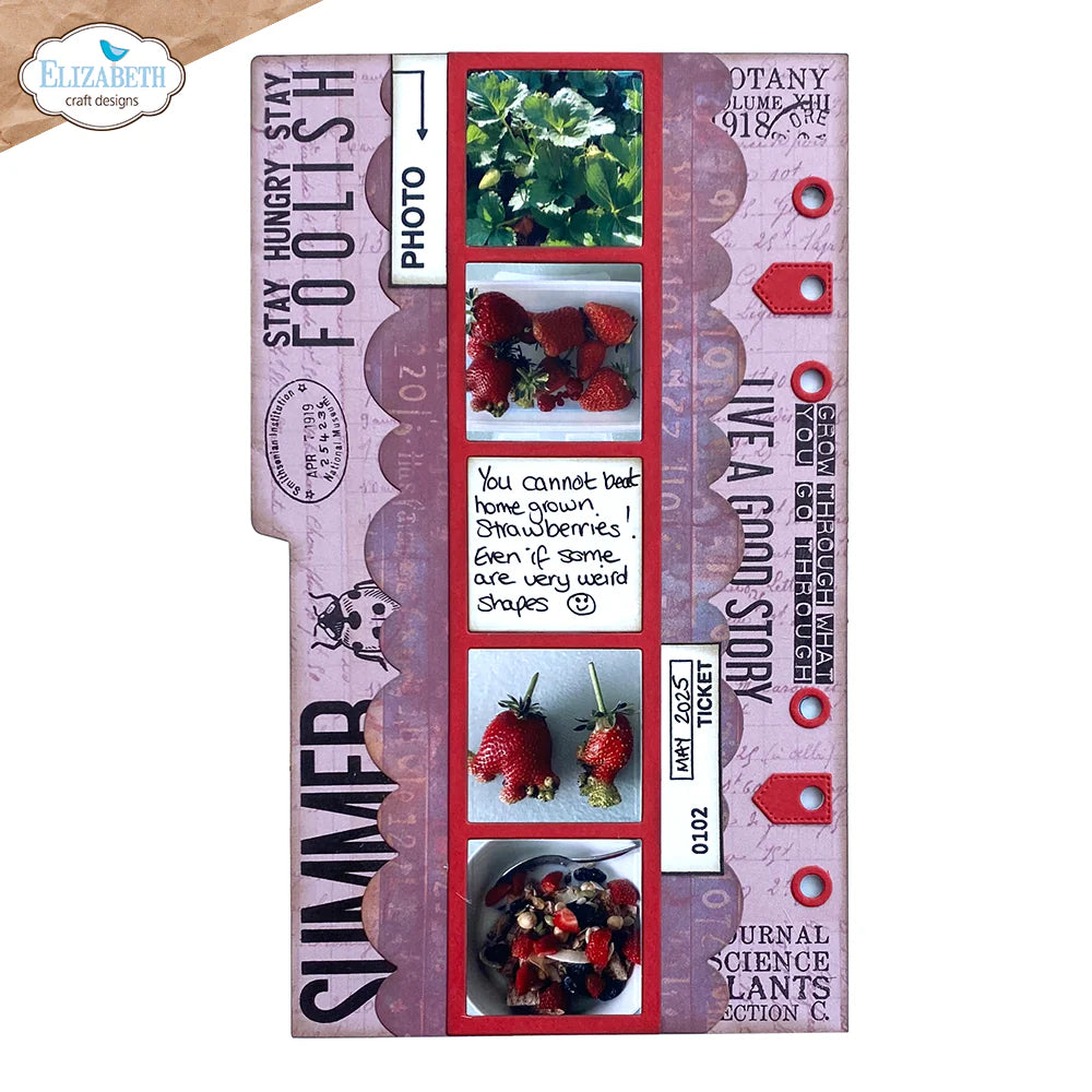 Elizabeth Craft Designs Photoframe Inlay Metal Die Set