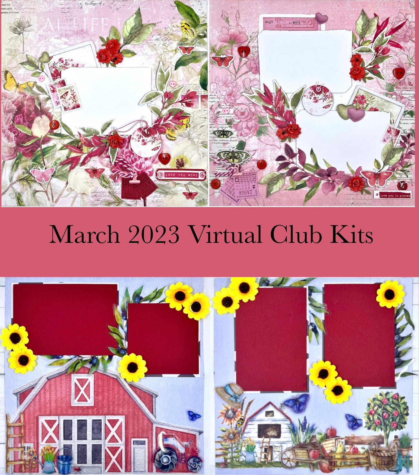 Virtuele Kit Club (2 kits)