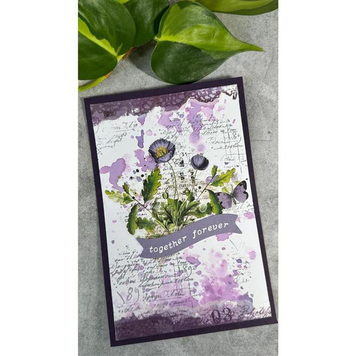 Arden Creative Studio Laurel Grove 6 x 8 Rub-On Transfer Set