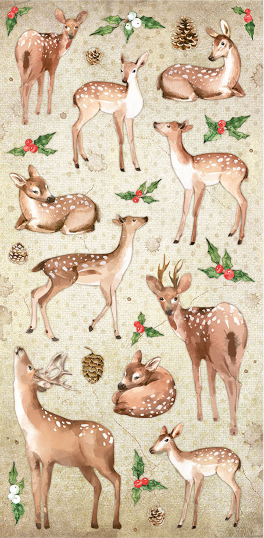 Stamperia Romantic Collection - Home for the Holidays 6” x 12” Paper Collection