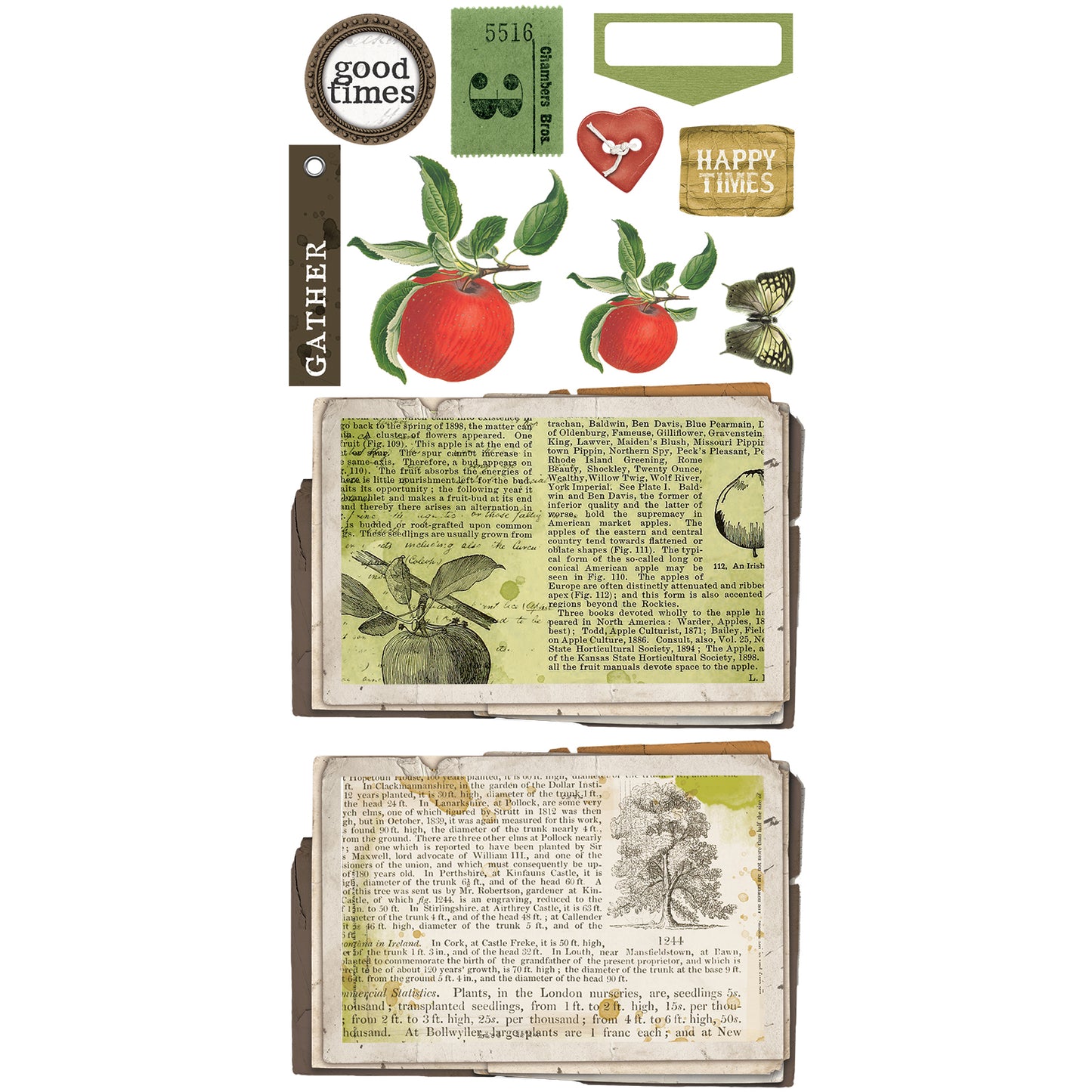 49 & Market Vintage Orchard General Laser Cut Elements
