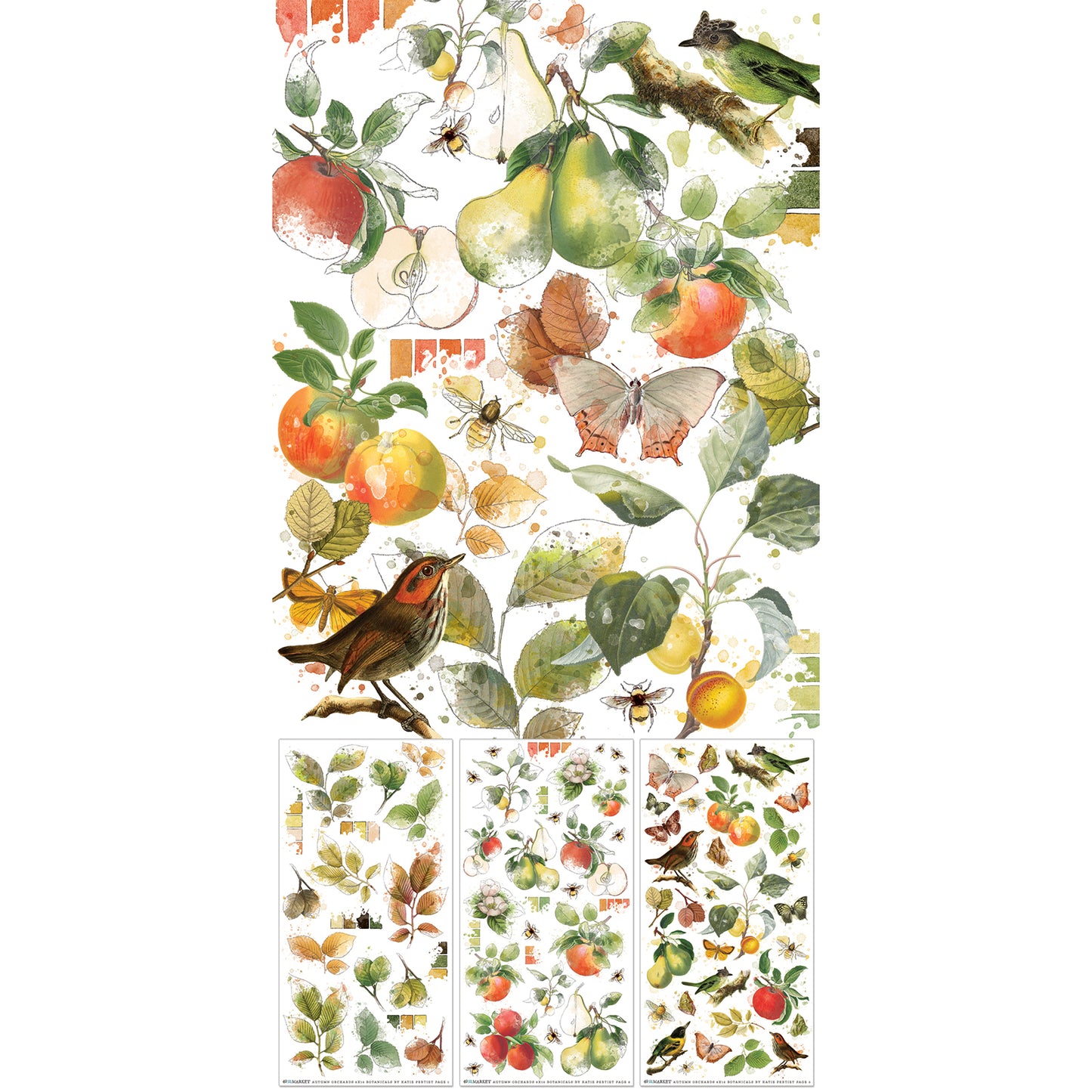 49 & Market Vintage Orchard Botanical 6 x 12 Rub-On Transfer Set